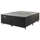 Cama Box com Colchão Queen Size Ecoflex Vivaz - 158x198x55cm